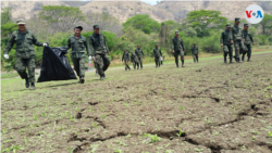 Miembros del ejército de Nicaragua en una actividad de limpieza en Managua. [Foto: Houston Castillo, VOA]