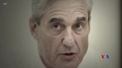 As queixas da Casa Branca e a investigação de Mueller
