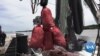 Gulf of Mexico Dead Zone