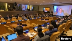 Виступ Львової-Белової на неформальному засіданні Ради Безпеки ООН, Нью-Йорк