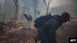 Residentes voluntarios intentan contener el avance de un incendio forestal que afecta una plantación de aguacate en el Cerro del Águila, reconocido como Área Natural Protegida y sitio de Restauración Forestal en Morelia, estado de Michoacán, México, el 26 de marzo de 2024.