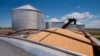 China to Waive Tariffs for Some US Soybeans, Pork