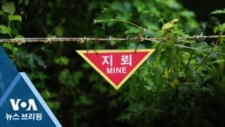 VOA 뉴스 브리핑 10월 1일    