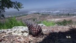 California works   to crook   1  of its biggest landfills into nationalist   park