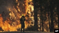 El incendio forestal de Yosemite ha calcinado más de 725 kilómetros cuadrados de superficie.