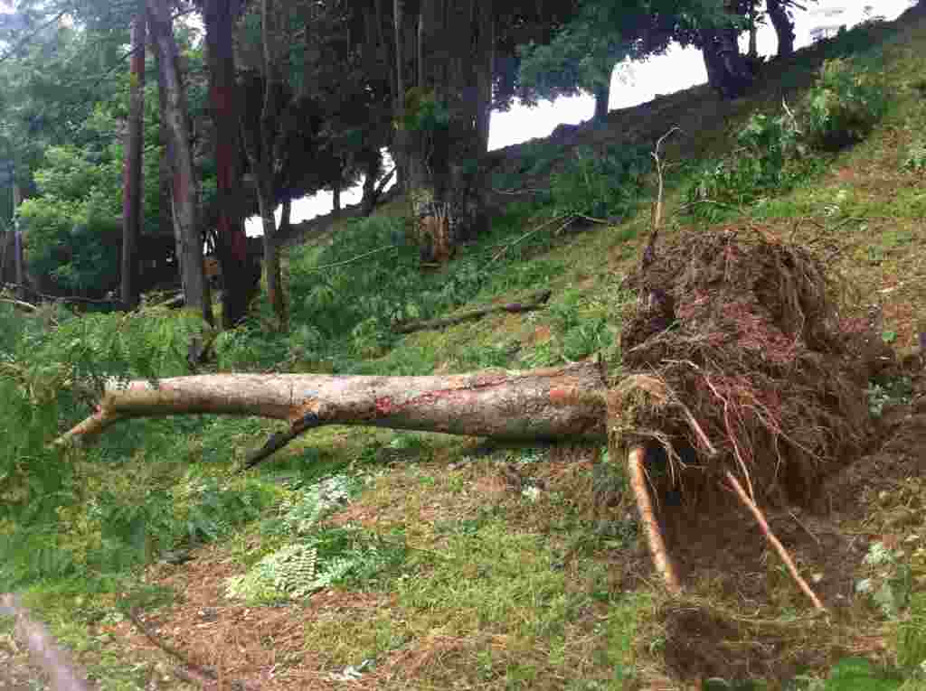 Imágenes de la situación en Puerto Rico tras el paso del huracán Irene.