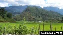 Kawasan pertanian di pegunungan Aceh (foto: dok). 