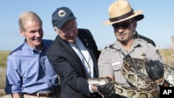 Secretary of Interior Ken Salazar, center, and Sen. Bill Nelson, D-Fla., left, look at at 13-foot python held by National Park Service Supervisor Ranger Al Mercado in the Everglades, Fla., Tuesday, Jan. 17, 2012.