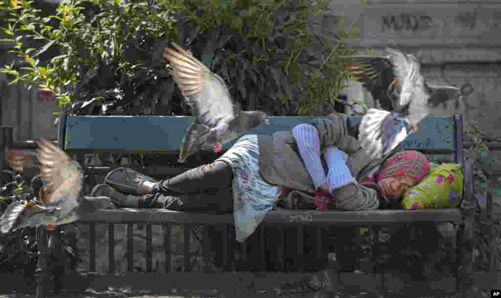 Pigeons fly near a woman sleeping on a bench on a hot day in Bucharest, Romania.