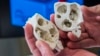 Impresores 3D añaden nueva dimensión a cirugía de corazón