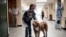A student pets Wilson, a therapy dog, in a hallway at French Middle School, Nov. 3, 2021.