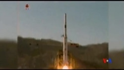 2016-02-03 美國之音視頻新聞: 日韓要求北韓取消火箭發射計劃
