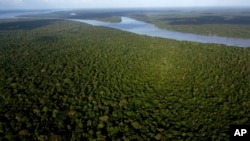 Vista del bosque en la isla Combu a orillas del río Guamá, cerca de Belém, Pará, Brasil, 6 de agosto de 2023.