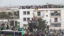 Les Sénégalais accueillent les champions d'Afrique en grande pompe