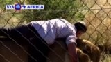 Afurika y’Epfo: “Mwongorerantare” Arazitabariza