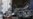 Residents: Saudi-led Coalition Airstrike Kills 36 Yemeni Civilians