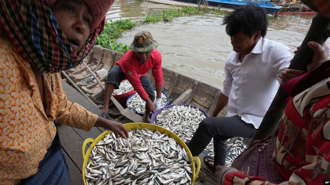 FILE - People buy fish at the bank of the Tonle Sap river during the fish harvesting season in Toul Ampil village on the outskirts of Phnom Penh, Cambodia, Jan. 2, 2023. 