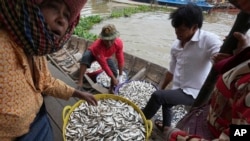 FILE - People buy fish at the bank of the Tonle Sap river during the fish harvesting season in Toul Ampil village on the outskirts of Phnom Penh, Cambodia, Jan. 2, 2023. 