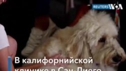 Лекарство от тревоги