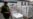 WHO Official: Africa to Miss COVID Inoculation Goal Because of Vaccine Hoarding