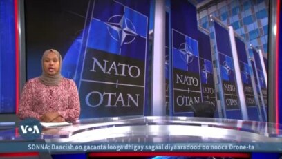 NATO oo howlgal ka billaabeysa Baltic-ga