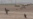 Turkish, Iraqi Militaries Step Up Pressure on Iraqi Kurds