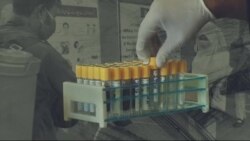 لویه پښتونخوا په ټي وي
