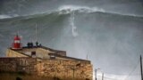 This photo released Tuesday Jan. 29, 2013, by Nazare Qualifica organization, US surfer Garrett McNamara rides a wave off Praia do Norte beach in Nazare, Portugal, on Jan. 28, 2013. 