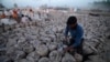 Petani dan Pedagang India Alami Kesulitan pasca Larangan Ekspor Gandum