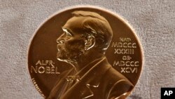 El Premio Nóbel de la Paz fue otorgado a sobrevivientes de las bombas atómicas en Japón.
