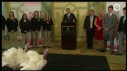 Настоящее Время. Америка – 21 ноября 2017